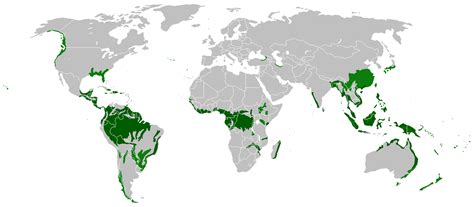 Map Showing Location Of Tropical Rainforests Rainforest