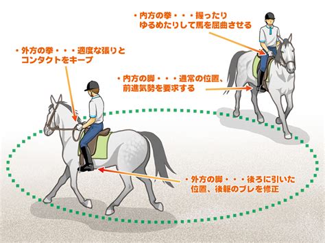 How To Improve Your Riding Skills The Canter Part 2｜minnano Jouba