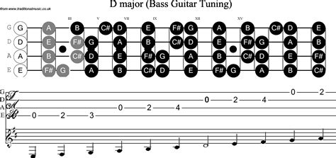 Bass Guitar Scale D