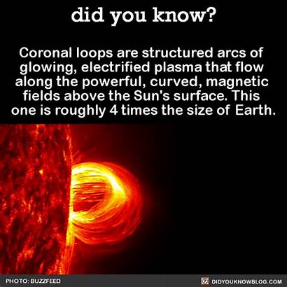 Facts Nature Blow Amazing Mind Fascinating Loops