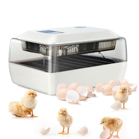 Digital Fully Automatic Egg Incubator 24 Eggs Poultry Hatcher Terrys