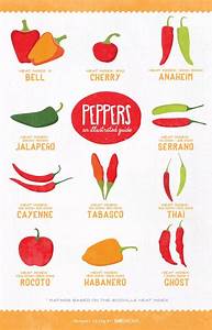 An Easy Guide To The Types Of Peppers How To Cook With Each With