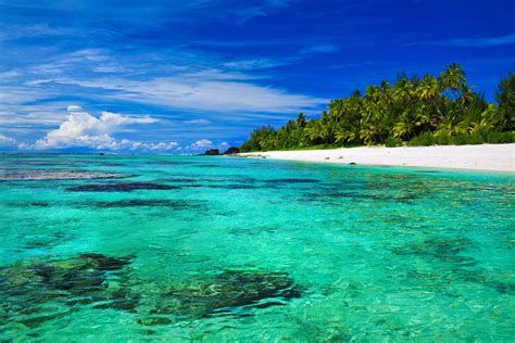 Check spelling or type a new query. Transparent blue water in the ocean near a tropical beach wallpapers and images - wallpapers ...