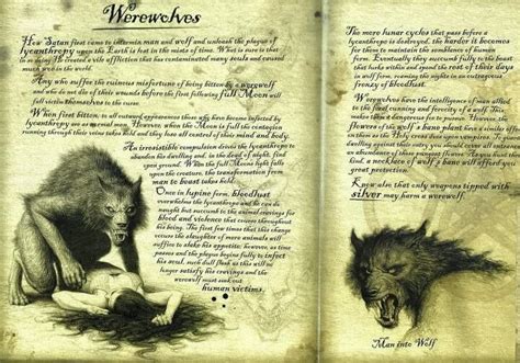 Werewolves Mythological Creatures Fantasy Creatures Mythical