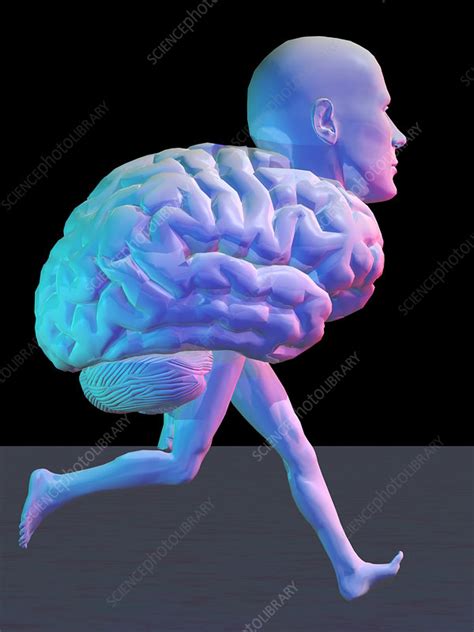 Running Brain Conceptual Artwork Stock Image P3250183 Science