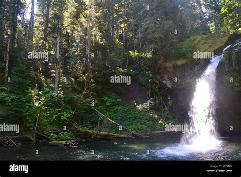 Ford Pinchot National Forest Hi Res Stock Photography And Images Alamy