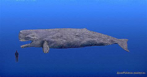 Facts About Leviathan The Giant Prehistoric Whale