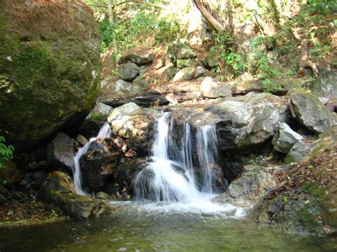 Ecological Tour Parque Nacional Montecristo