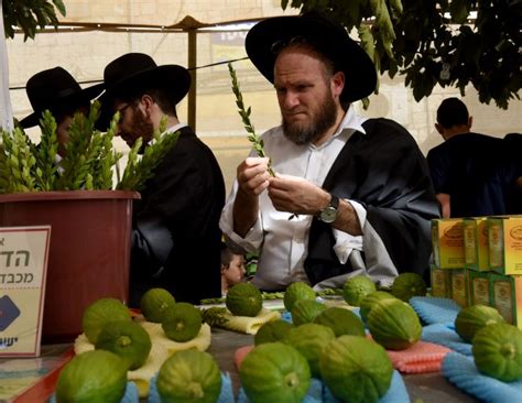 Ultra Orthodox Jews In Jerusalem Prepare For Sukkot Photos
