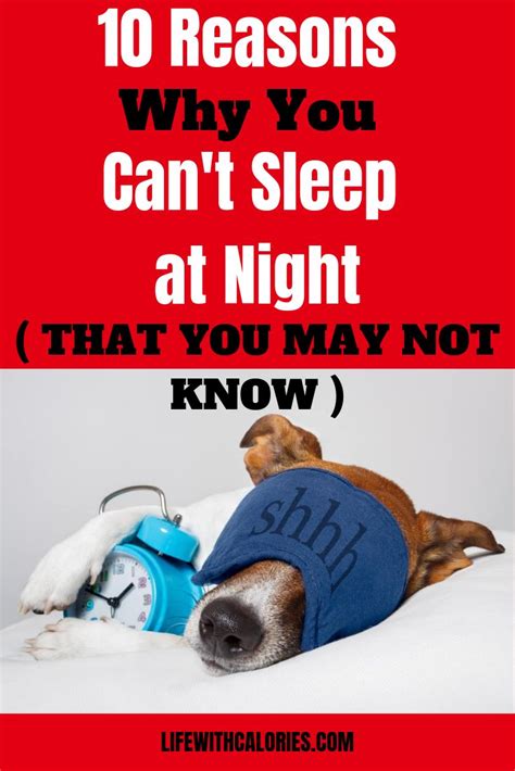 Sleep Deprivation 10 Reasons Why You Cant Sleep At Night Cant Sleep