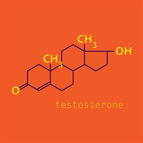 Testosterone Male Sex Hormone Androgen Molecule Vector Ai Eps Uidownload