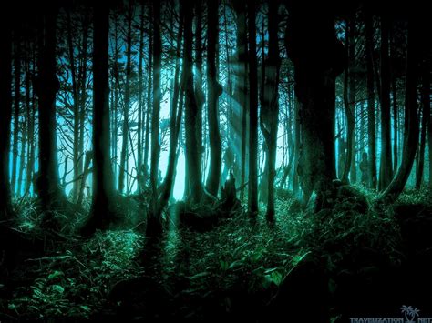 Creepy Mystery Forest Digital Artwork