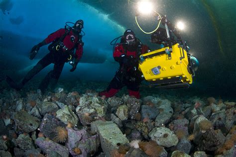 Amazing Underwater Discoveries That Prove The Ocean Is Full Of