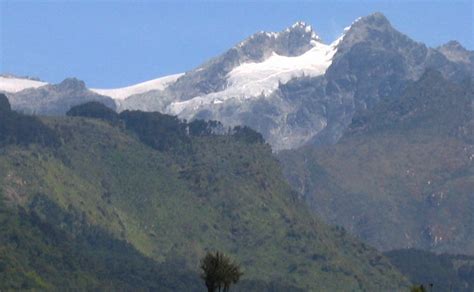 The plant life varies from heavy tropical rainforest, bamboo forests, montane cloud forests to alpine vegetation and the scenery is truly spectacular. Photographs and location map of the Rwenzori Range in ...