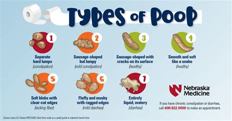 What Does Healthy Poop Look Like Nebraska Medicine Omaha Ne
