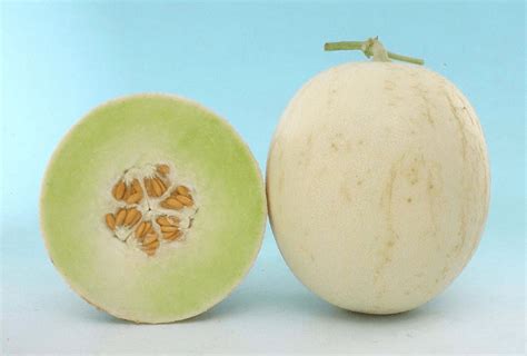25 different types of melons melon kinds names and facts