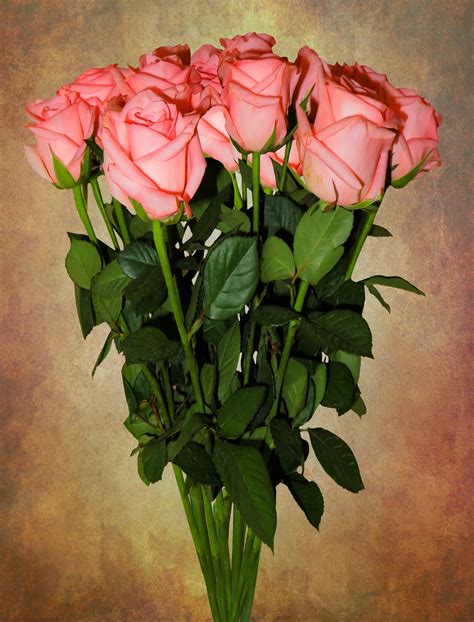 Ingyenes Képek Születésnapi Csokor Születésnap Virágok Rózsák