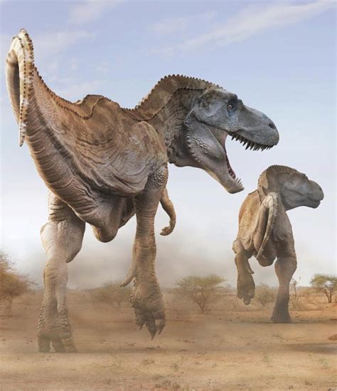 Tarbosaurus Sauropedia Wiki Fandom