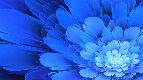 26 Blue Flower Wallpapers Wallpaperboat