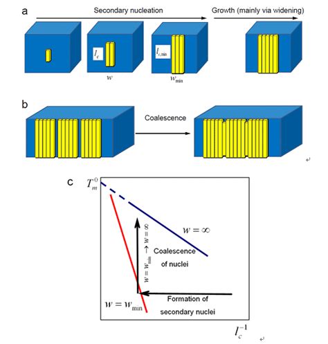 Scheme Showing The Formation Process Of Polymer Lamellar Crystals And