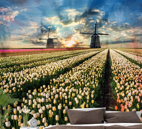 Fotomural Tulipanes Tulipanes Holandeses Tenvinilo