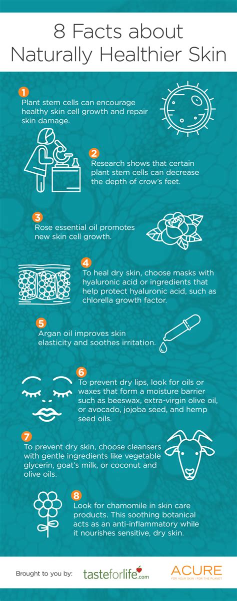 Infographic Skin Care Facts Nuevo Skincare