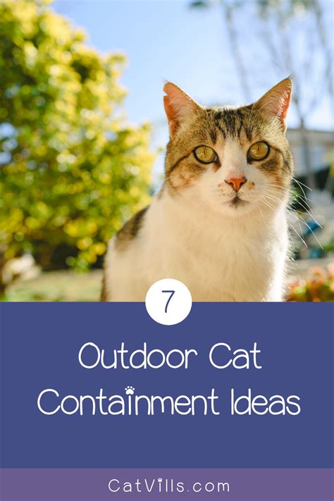 7 Outdoor Cat Containment Ideas That You Can Buy Or Make Outdoor Cat