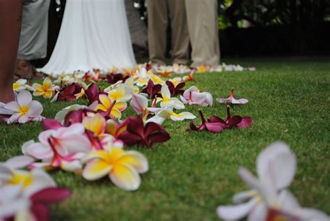 Hawaiian Style Wedding Hawaiian Style Wedding 50th Wedding