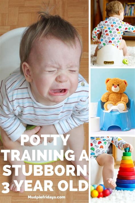 Potty Training A Stubborn 3 Year Old Potty