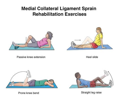Knee Ligaments Best Knee Strengthening Exercises Summit Medical