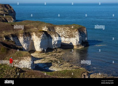 Sea Cliffs At Flamborough Head On The North Yorkshire Coast In