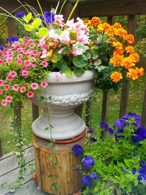 Plant your flower pots for spring with these tips and readily available spring flowers like bleeding hearts, primroses, violas, pansies and ranunculus. 40 Easy Pot Painting Ideas And Designs For Beginners