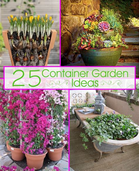 25 Container Garden Ideas The Scrap Shoppe