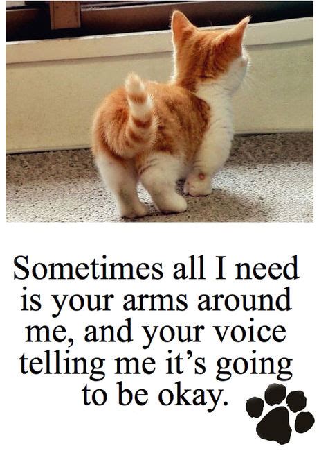 Cat Love Quotes Quotesgram