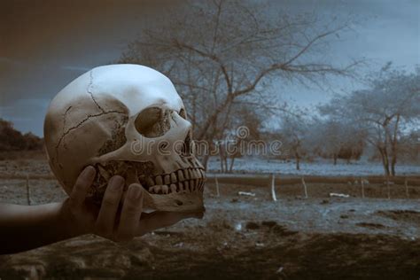 Hand Holding A Human Skull With A Dramatic Scene Background Stock Image