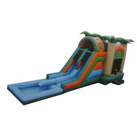 Water Slides Flws A20015