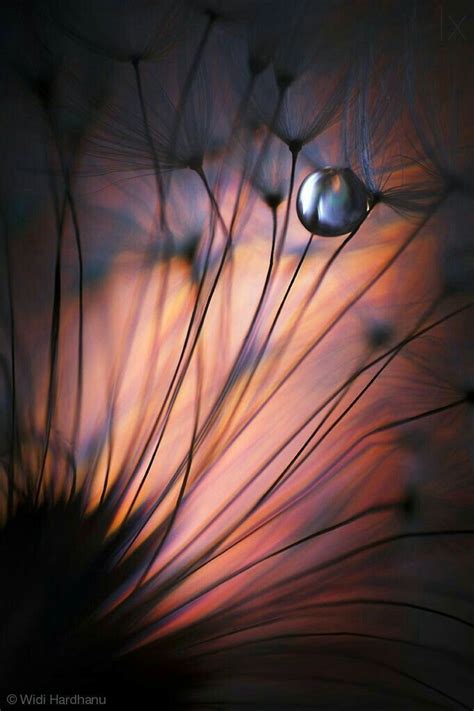 Pin By Matthew Hope On Nature Abstract Photography Abstract Nature