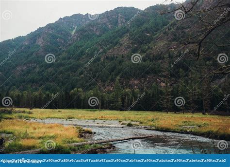 The Mountain Small River With Blue Water Stock Photo Image Of Nature