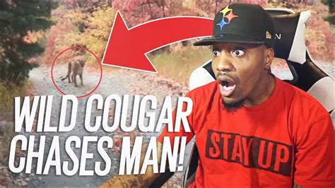 A Cougar Stalked A Utah Hiker For A Terrifying 6 Minutes After He Did