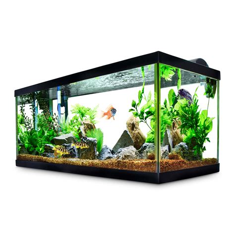 Aqueon Standard Glass Aquarium Tank 55 Gallon Petco 55g Fish Tank