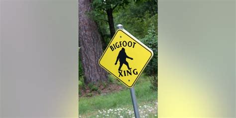 2 Men Claim Bigfoot Sighting In Ohio Video Goes Viral Fox News