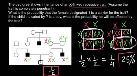 How do you construct a pedigree? How to Solve Pedigree Problems? Easily! - YouTube