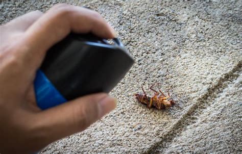 Apartment Set On Fire By Homemade Cockroach Killing Flamethrower