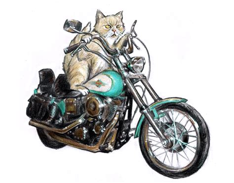 Find cat seat from a vast selection of furniture & scratchers. Motorcycle Cat by LinaLightning on DeviantArt