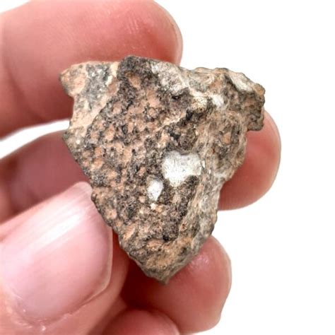 Lunar Meteorite Nwa 13788 1 Of 5 Melt Breccia Meteolovers