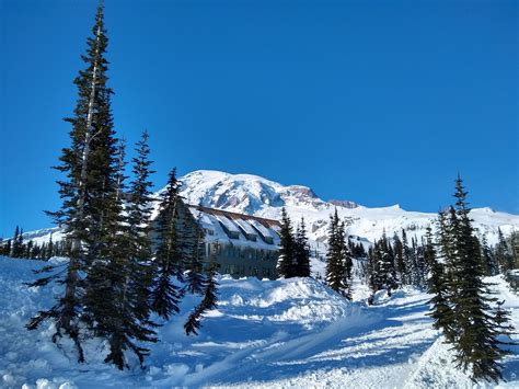 Snowshoe Mt Rainier National Park Winter And Spring Adventure Guide