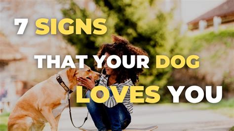 7 Signs That Your Dog Loves You Youtube
