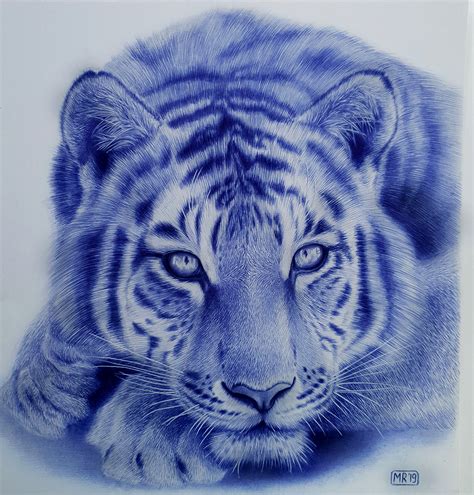 Ballpoint Pen Drawing Behance