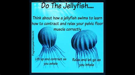 How To Relax Pelvic Floor Muscles Floor