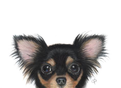 Chihuahua Chihuahua Art Print Black Chihuahua T Etsy